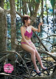 [Young Magazine] Ikumi Hisamatsu Hanami Natsume 2015 No.26 Photograph
